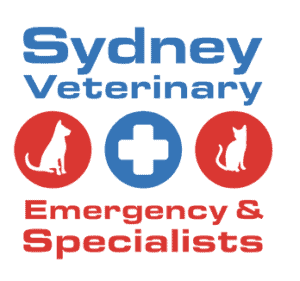 Sydney Veterinary Emergency and Specialists